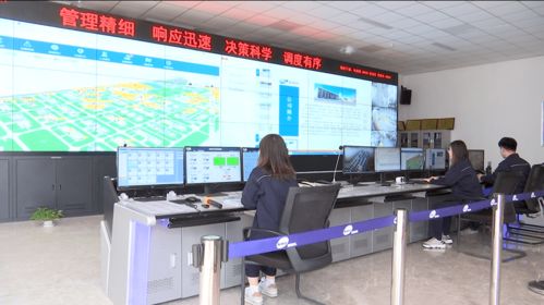 濱海區(qū) 以信息技術開發(fā)為引擎，筑牢企業(yè)安全管理新防線